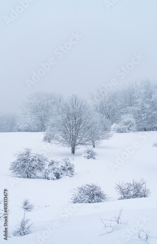 Espino Albar and Beech Forest in the Raso de Opakua snowed in winter in the Port of Opakua, in the Natural Park of the Sierra de Entzia. Alava. Basque Country. Spain.Europe