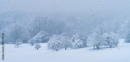 Espino Albar and Beech Forest in the Raso de Opakua snowed in winter in the Port of Opakua, in the Natural Park of the Sierra de Entzia. Alava. Basque Country. Spain.Europe