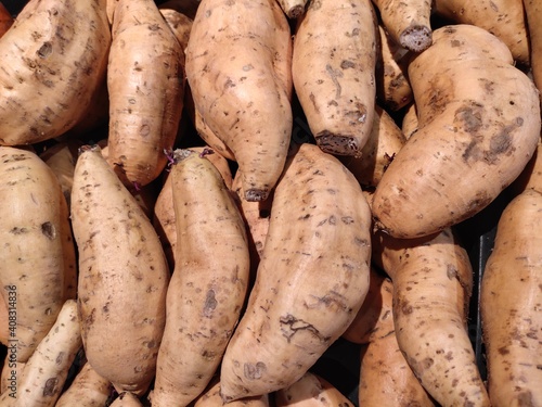 Selective view of sweet potato (Ipomoea batatas - Cilembu). photo