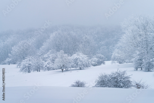 Espino Albar in the Raso de Opakua snowed in winter in the Port of Opakua, in the Natural Park of the Sierra de Entzia. Alava. Basque Country. Spain.Europe © JUAN CARLOS MUNOZ
