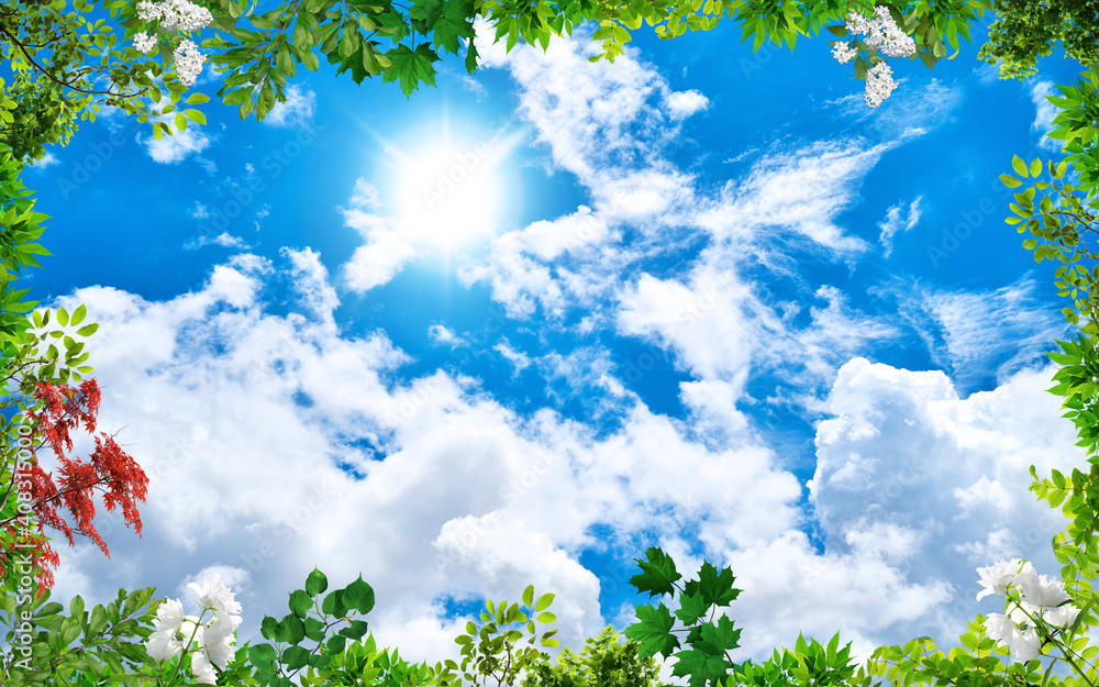 Spring branches in the sky Spring branches in the sky