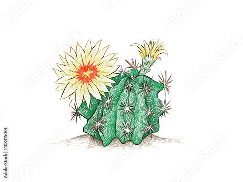 Illustration Hand Drawn Sketch of Hamatocactus, Hedgehog, Twisted Rib or Fishhook Cactus with Yellow Flower.
