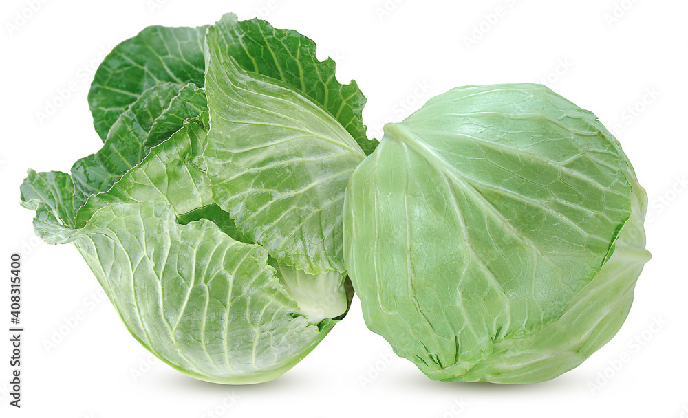 Fototapeta premium Cabbage isolated on white background
