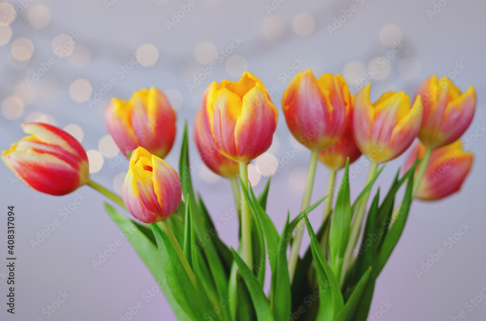 Top view of beautiful pink, yellow tulips on blue background with bokeh. Greeting card. 8 March. Mother's Day. Happy Women's Day. Top view of beautiful pink, yellow tulips on blue background with bokeh. Greeting card. 8 March. Mother's Day. Happy Women's Day.