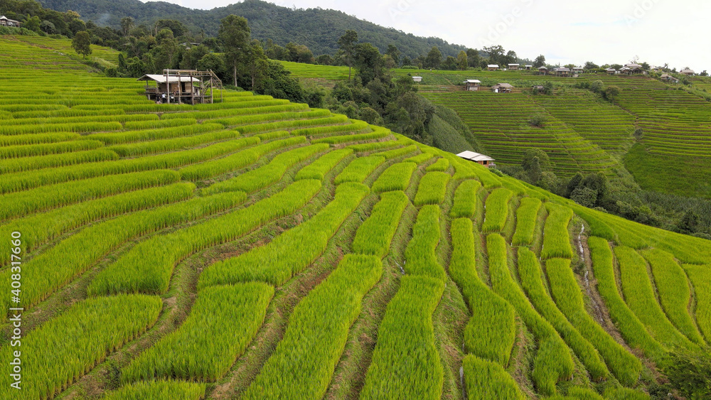 rice fields in Pa Pong Pieng , Mae Chaem, Chiang Mai, Thailand.
