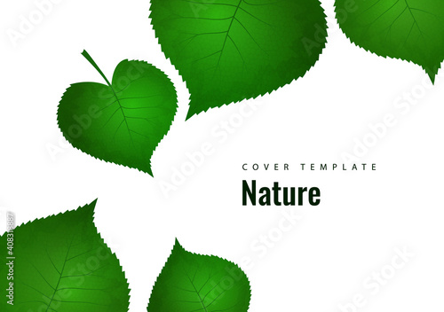 Nature background with green fresh leaves . Vector