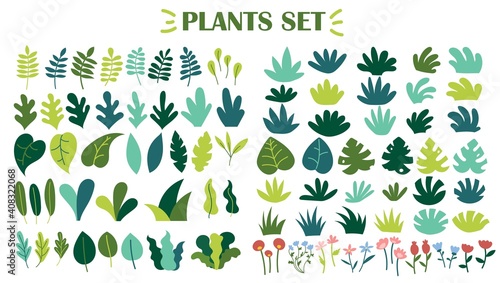 Collection of wild plants  leaves and flowers isolated on white background. Set of decorative floral design elements. Flat cartoon vector illustration