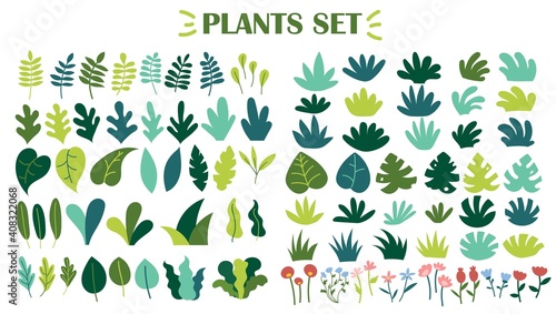 Collection of wild plants, leaves and flowers isolated on white background. Set of decorative floral design elements. Flat cartoon vector illustration