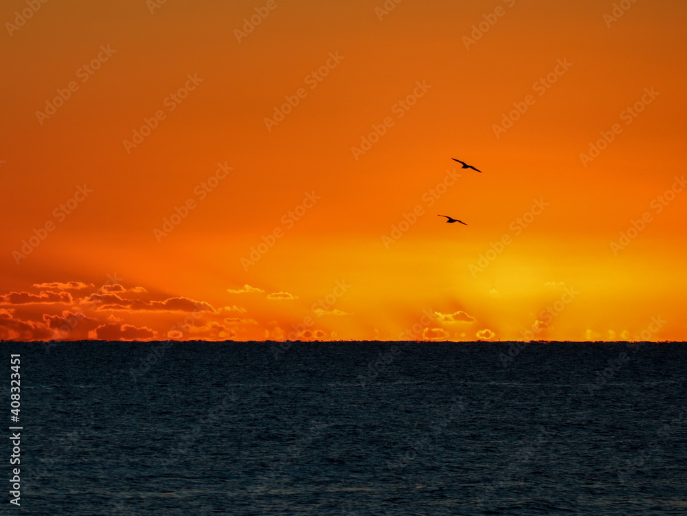 Atardecer en el mar con alguna nube en el horizonte y pajaros volando Atardecer en el mar con alguna nube en el horizonte y pajaros volando