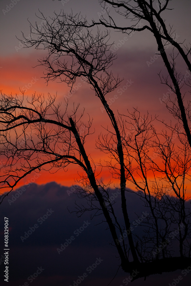 Golden sunset by the sea with silhouette tree. Golden sunset by the sea with silhouette tree.