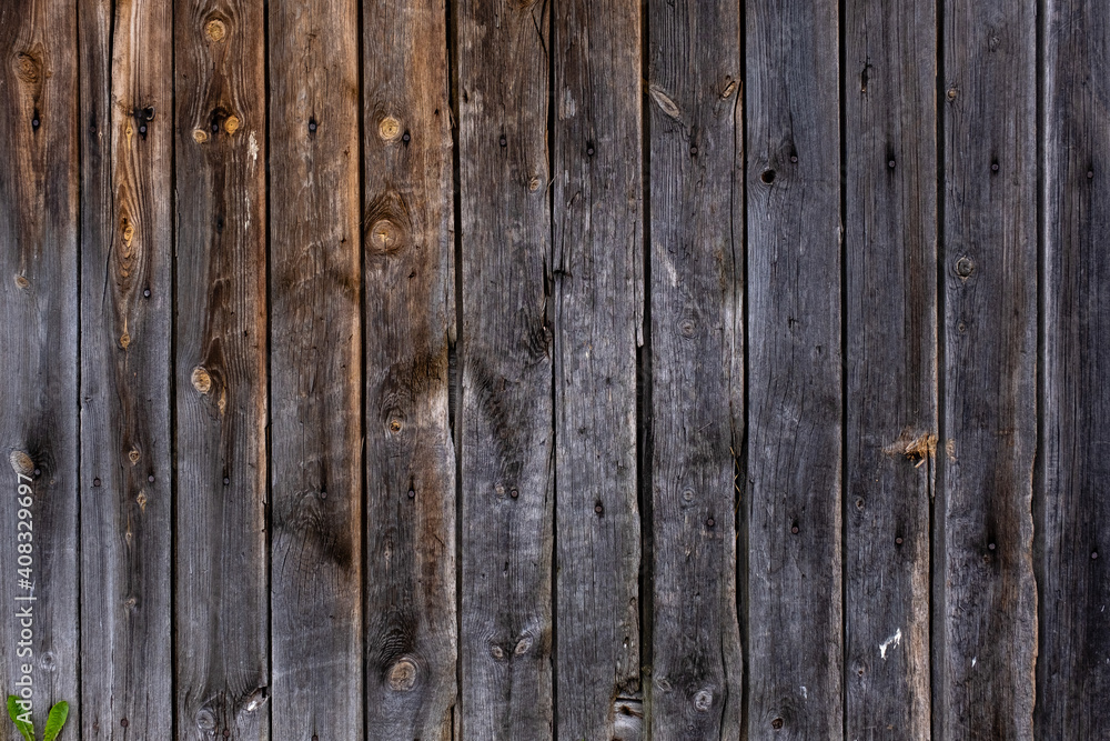 Obraz premium old wooden board wall