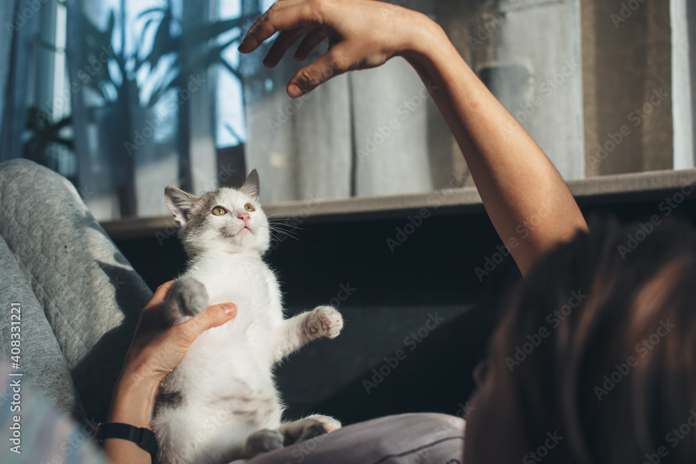 Caucasian woman and her cat are playing on the couch gesturing with hand at the animal Caucasian woman and her cat are playing on the couch gesturing with hand at the animal