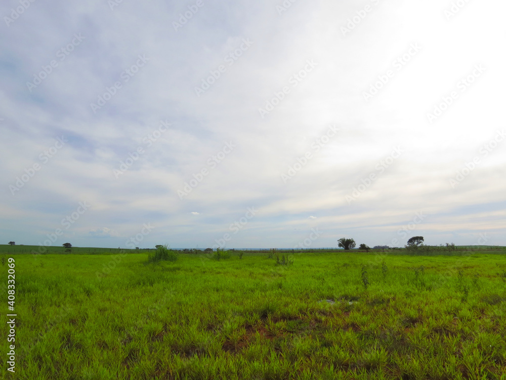 White sun iluminating with a beautiful blue sky in a vibrant green grass field
