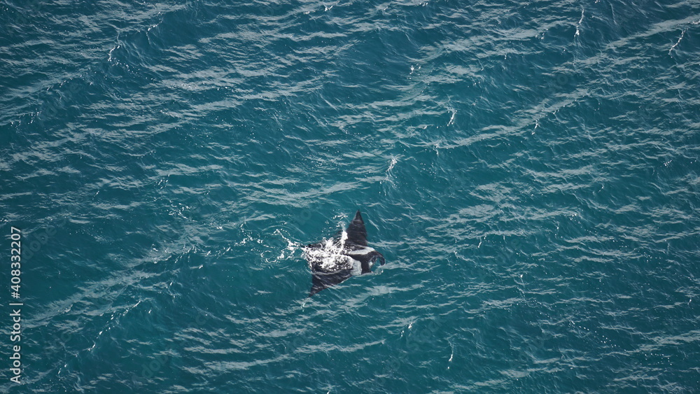 Naklejka premium the view of a manta ray from the light house Farol de Dona Amelia in Sao Pedro, on the island Sao Vicente, Cabo Verde, in the month of December