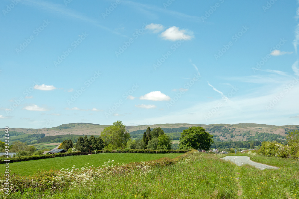 Obraz premium Welsh countryside road in the summertime.