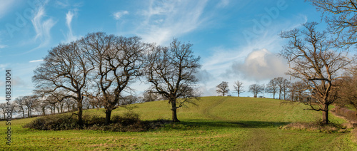 Принти на полотні Panoramic landscape of Harrow Weald hills and fields in sunny winter day, Englan