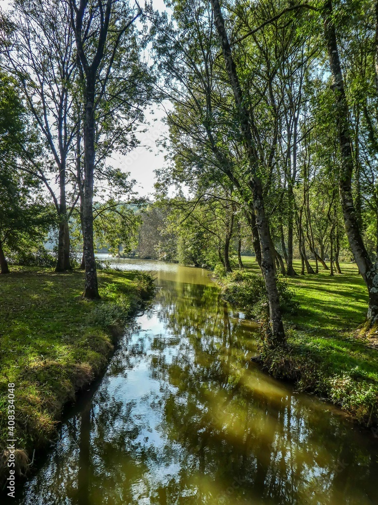 stream meandering through the woodland