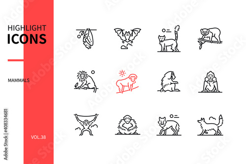 Different mammals - modern line design style icons set
