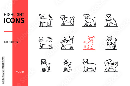Obraz na plátně Cat breeds - modern line design style icons set