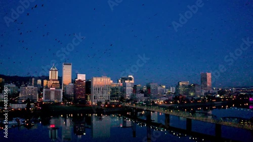 Massive Murder of Crows Flying over the Willamette River in Portland Oregon at Sunrise 