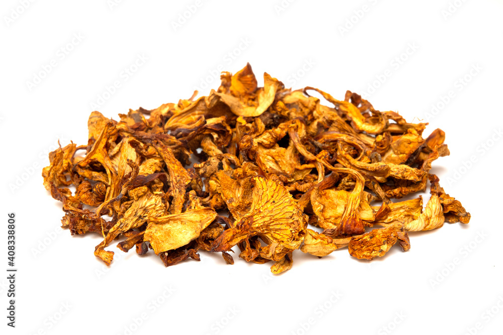 Obraz premium Golden chanterelle