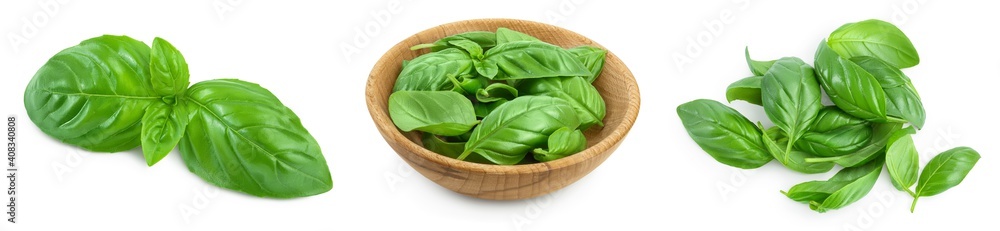 Fresh basil leaf isolated on white background with clipping path and full depth of field. Top view. Flat lay, Set or collection Fresh basil leaf isolated on white background with clipping path and full depth of field. Top view. Flat lay, Set or collection