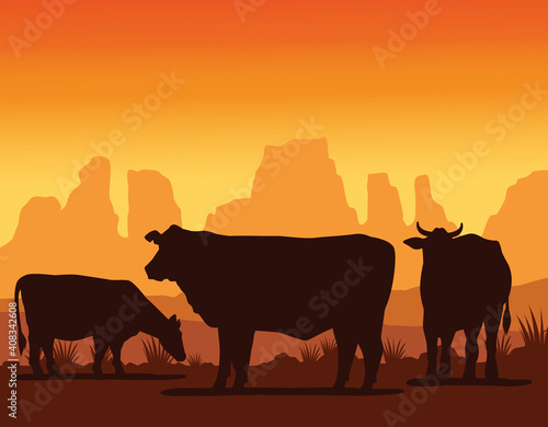 cows animals farms silhouettes in the landscape