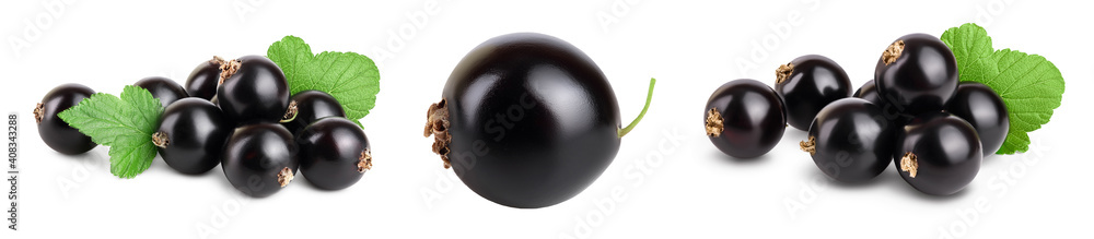 black currant with leaves isolated on white background with clipping path and full depth of field. Set or collection black currant with leaves isolated on white background with clipping path and full depth of field. Set or collection