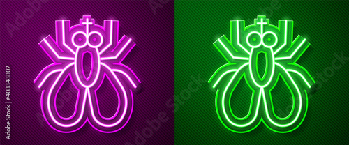 Glowing neon line Insect fly icon isolated on purple and green background. Vector.