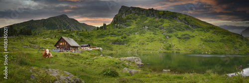 Foto Almhütte mit Kuh am Falkertsee in Kärnten / Österreich