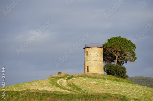 veduta di collina con silos e albero