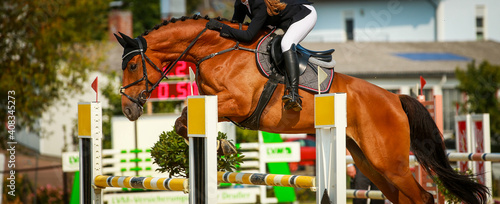 Fotografie, Tablou Horse, jumping horse jumping with rider during a tournament..