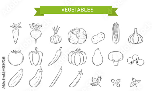 A set of linear icons for Vegetables, mushrooms, olives in Doodle style. . Design elements are hand-drawn and isolated on a white background. Black and white vector illustration.