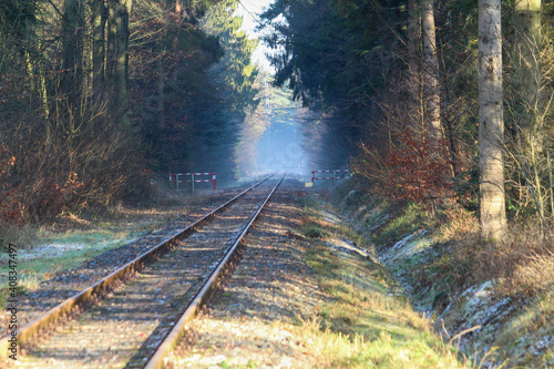 Railroad tracks in the forest on a cold day
