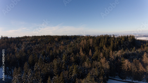 Sicht über den Wald