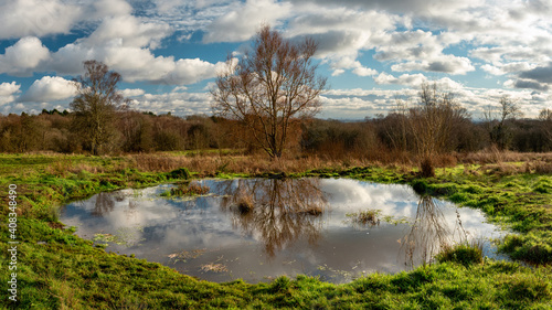 Landscape with a pond among fields of Bentley Priory Nature Reserve, Stanmore, England