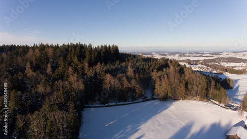 Waldrand von oben