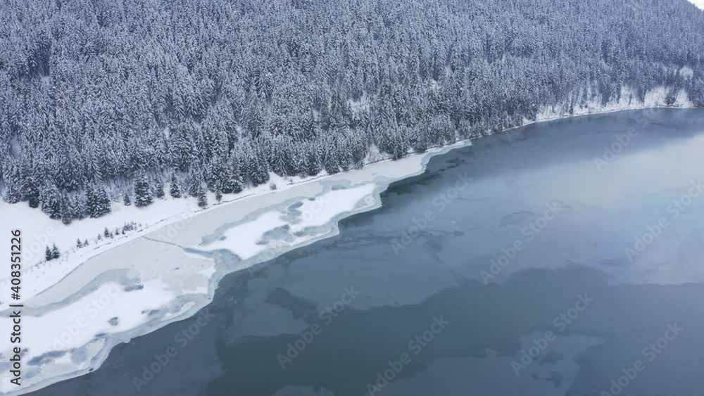 Forest surrounds shore of frozen lake. Aerial panoramic view Forest surrounds shore of frozen lake. Aerial panoramic view