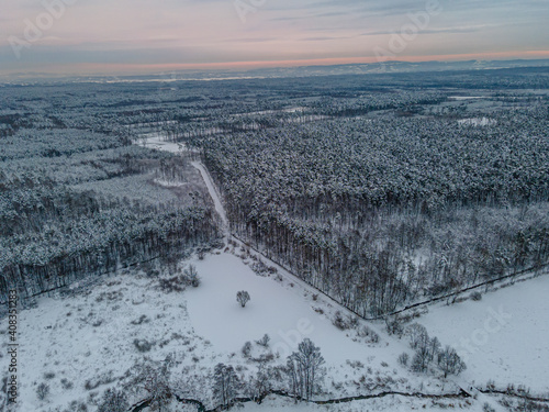 drone footage of snowy forest in winter © Krzysztof