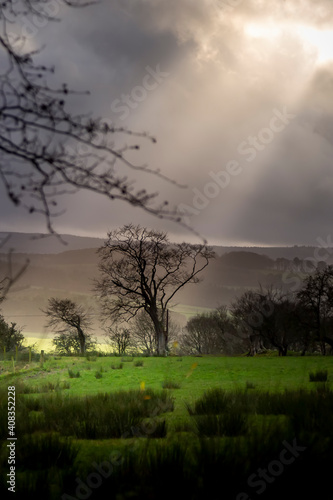 dramatic sun breakthrough on field in scotland