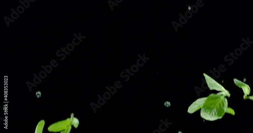 Fresh green mint leaves with water drops slowly fly up and fall on a black background. Blackmagic Ursa Pro G2, 300 fps. photo