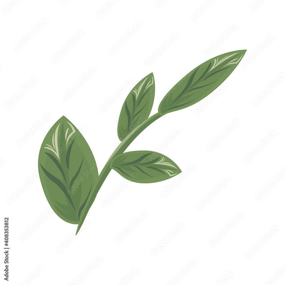 Fototapeta premium branch with ecology leafs plants green nature icons