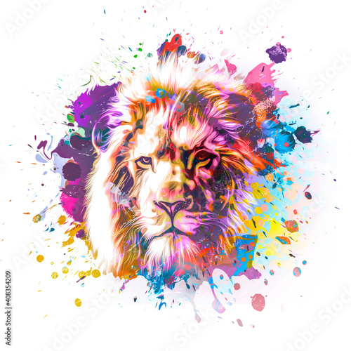 lion head with splashes