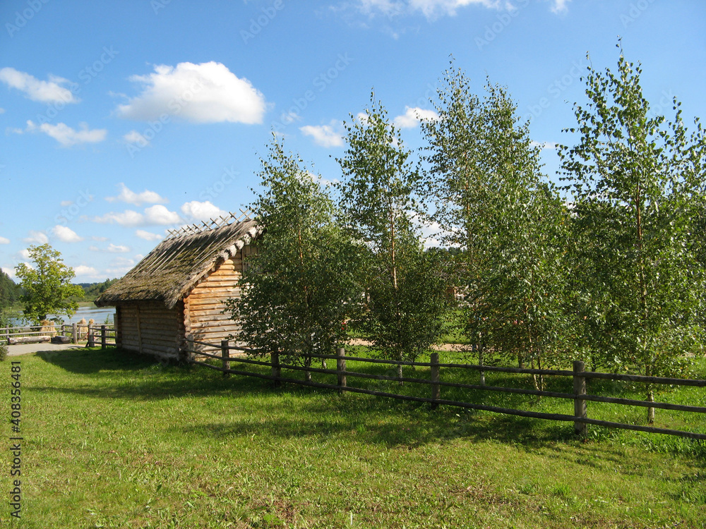 log cabin, fence of poles and young birch trees in summer