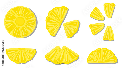 vector illustration close up top view of fresh ingredient sliced. pineapple, 