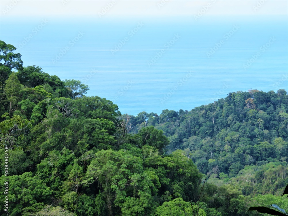 view from the top of the mountain to the jungle and ocean