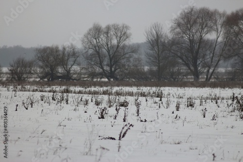 Wallpaper Mural Winter Hiking Along Seym Regional Landscape Park Torontodigital.ca