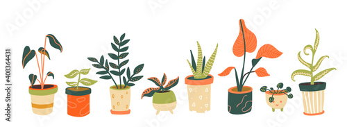 Houseplants collection. Different indoor plants in pots. Aloe, tropical trees, pilea. Trendy home decor, urban jungle horizontal banner.