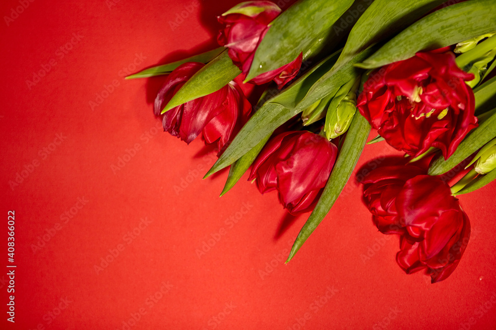 Bouquet of red tulips. Concept for Valentine's Day, womens day and other romantic events. Top view, close-up, flat lay Bouquet of red tulips. Concept for Valentine's Day, womens day and other romantic events. Top view, close-up, flat lay