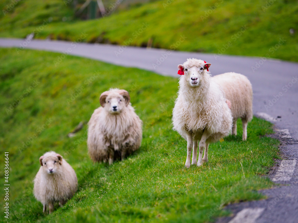 Faroe Island